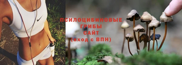 крисы Нефтегорск