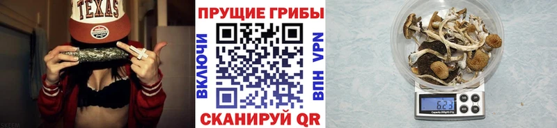 цены наркотик  blacksprut сайт  Галлюциногенные грибы Magic Shrooms  Рыльск 